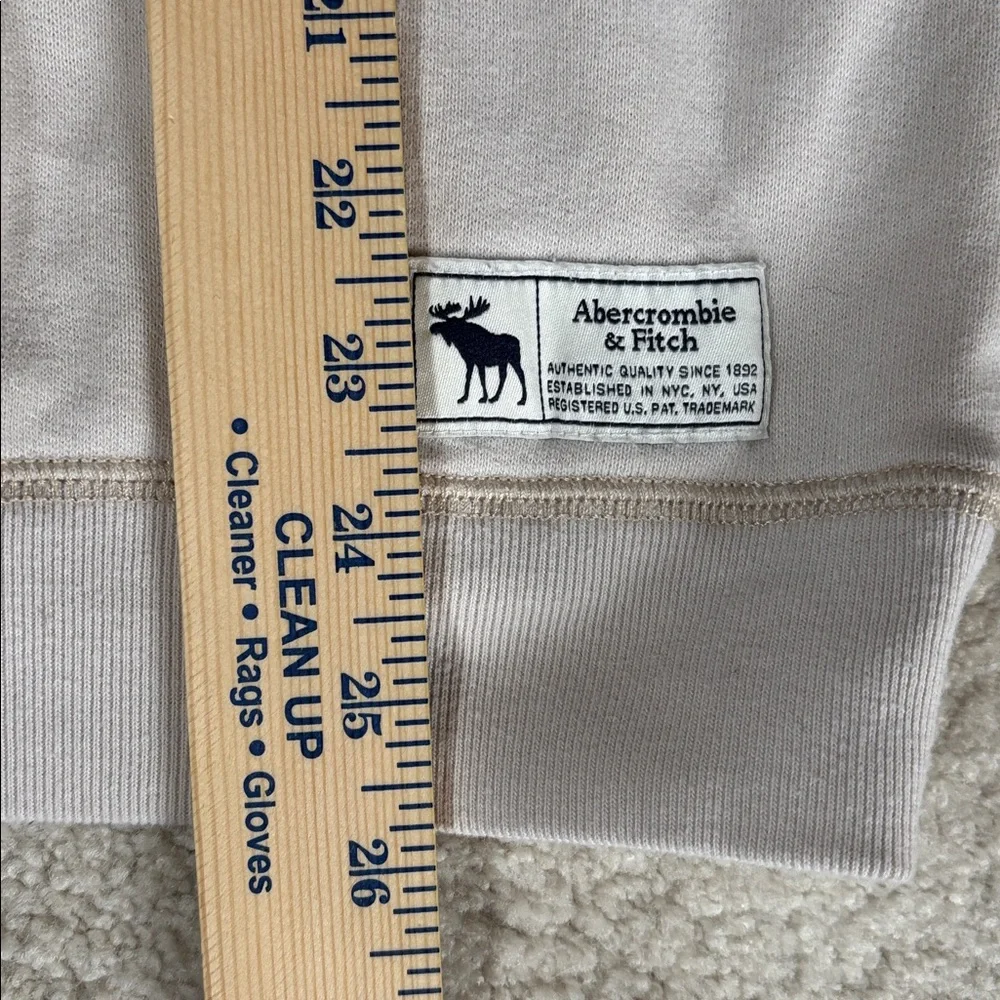 Abercrombie & Fitch Tan Crewneck Pullover Sweatshirt Kids Relaxed Fit Size 15/16